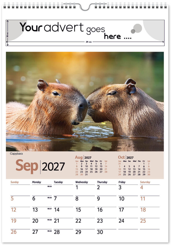 roam-free-mini-memo-13l-alternative-2027-9